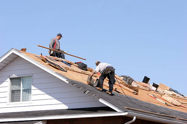 Best Hot Roofs  in Horizon City, TX